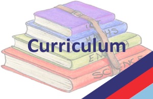 curriculum